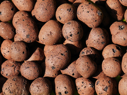 Clay Balls for Hydroponics