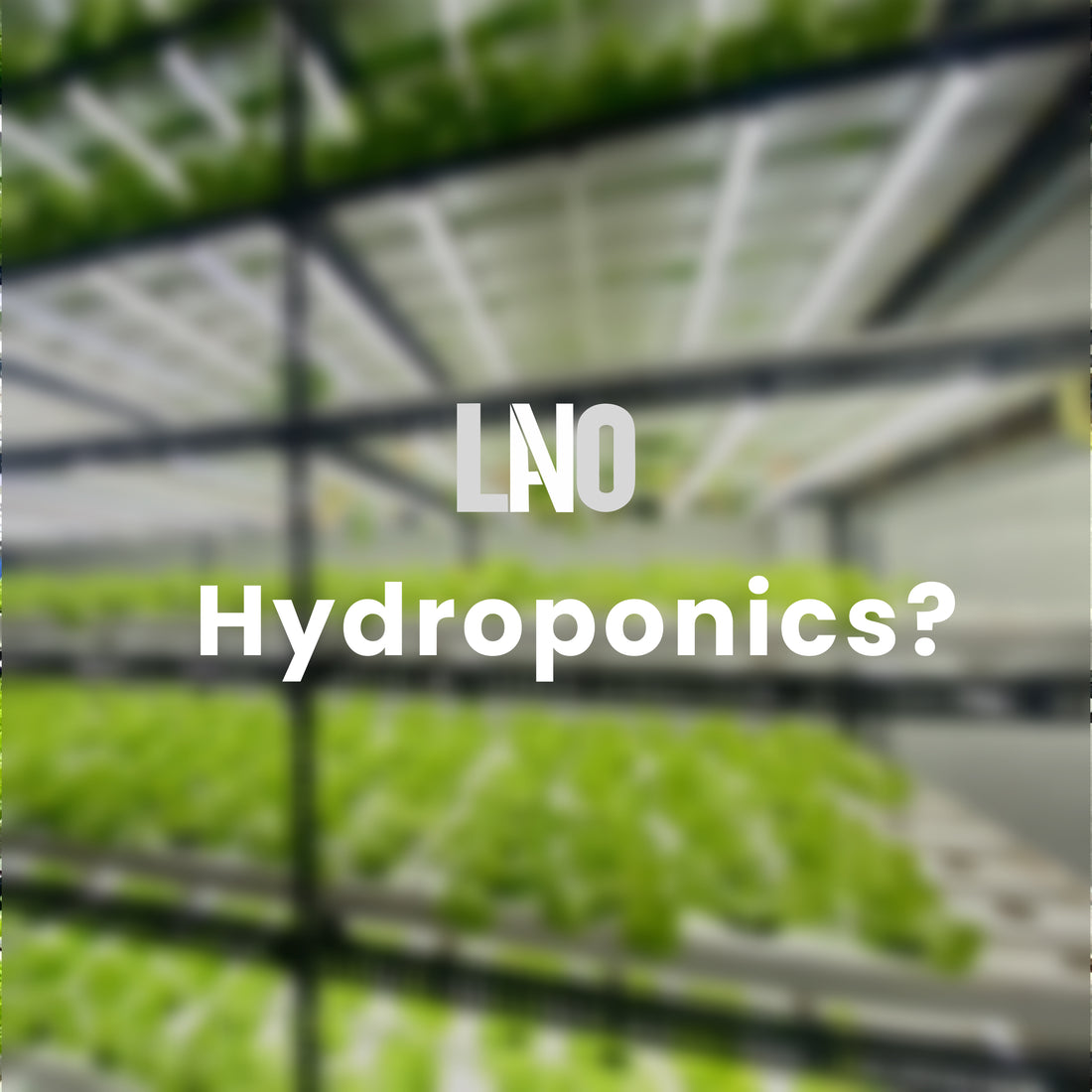 Hydroponics Farm