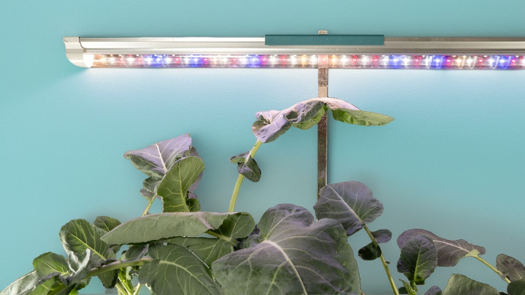 LED Hydroponic GrowLight for plants