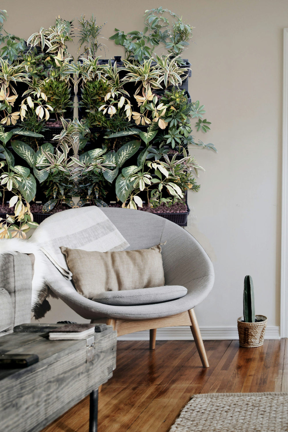 Green wall in home