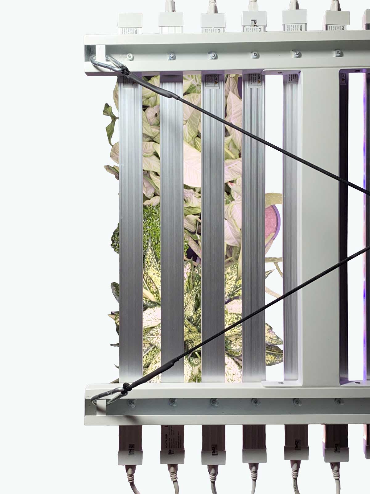 GrowLights for Hydroponics – Lano AgriTech