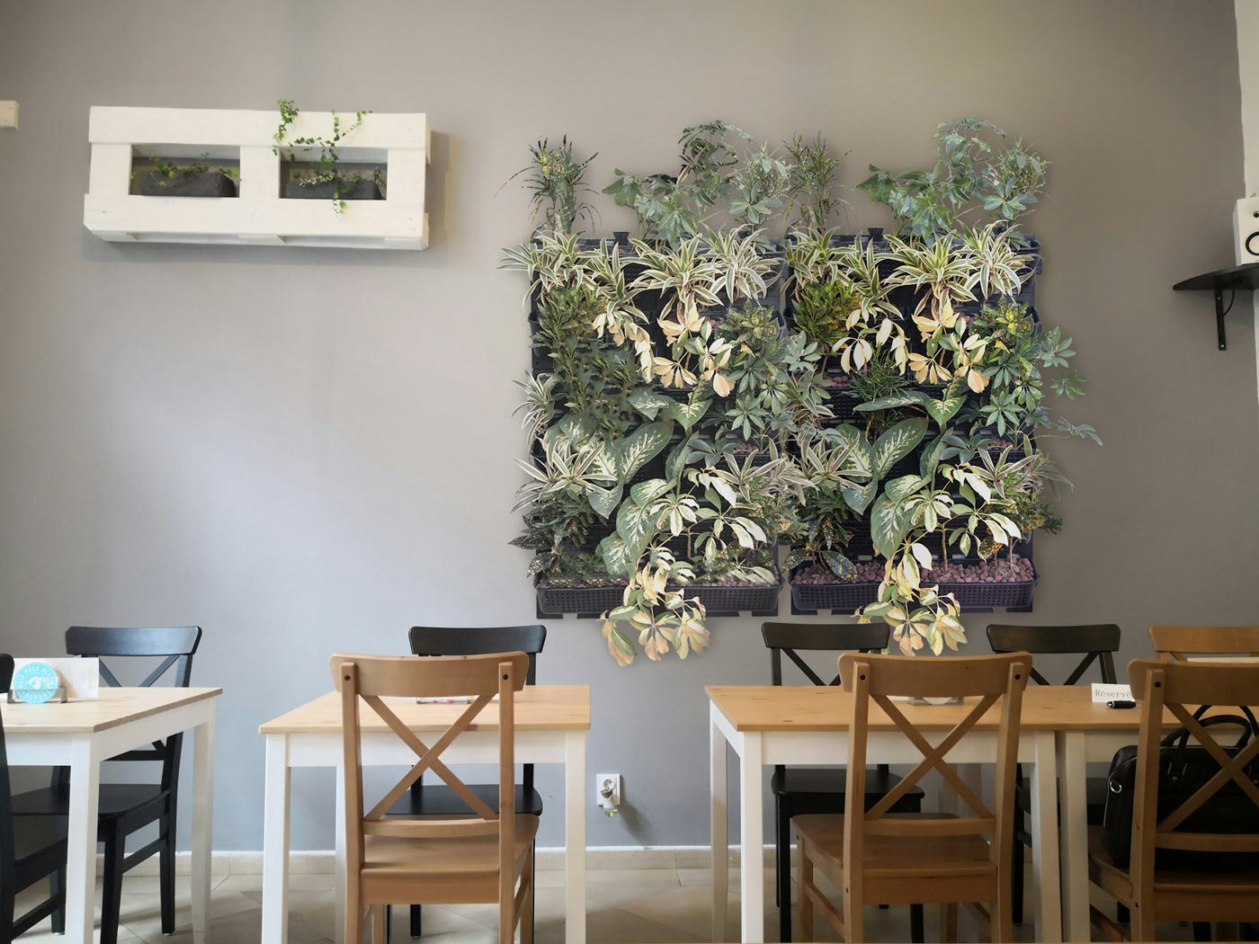 Greenwall installation