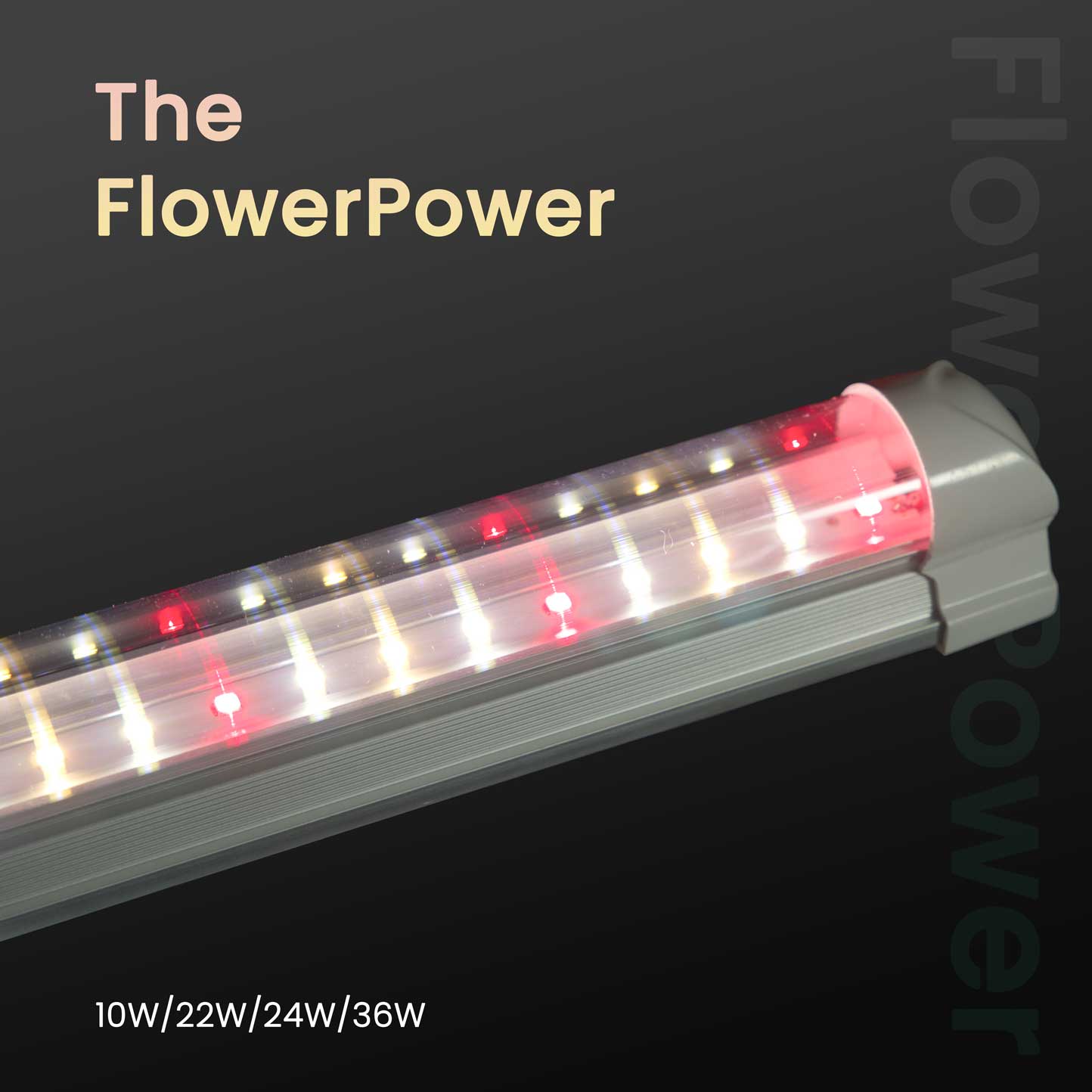 Flower Power LED GrowLight