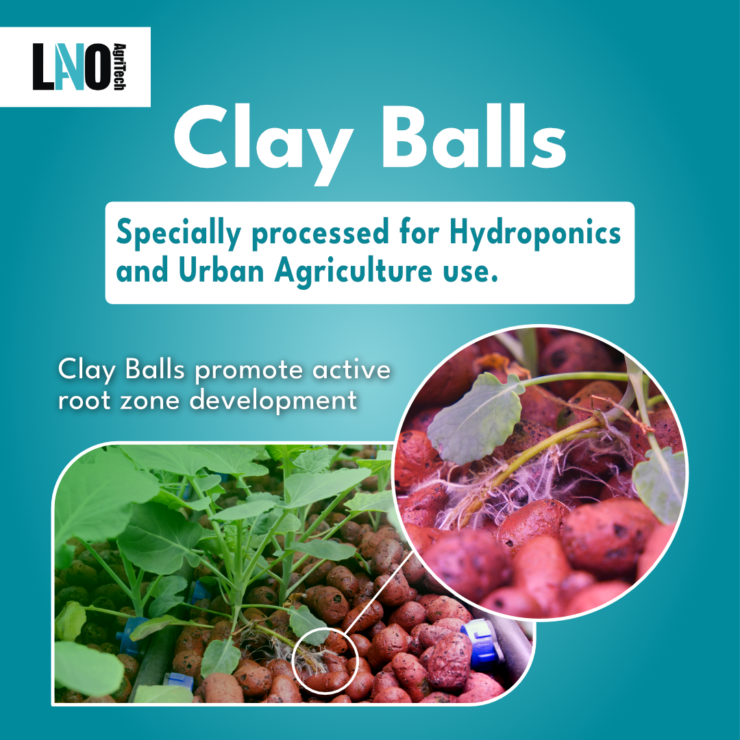 Clay Balls for Hydroponics